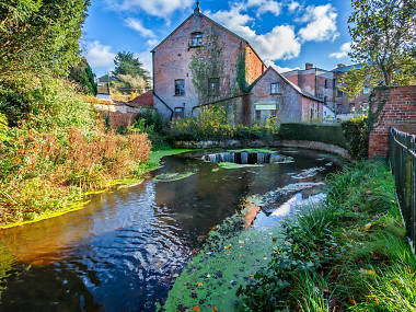 10 things to do in Ottery St Mary 10 things to do in Ottery St Mary