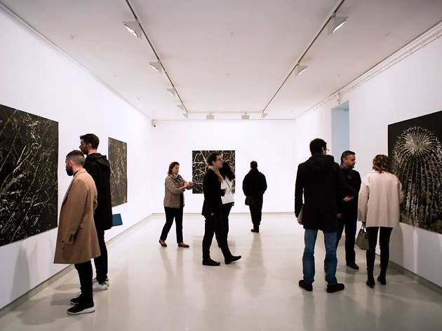 inaugurações simultâneas, miguel bombarda Galerias abrem novas exposições na Rua Miguel Bombarda