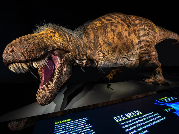 “T. rex: The Ultimate Predator” at the American Museum of Natural History “T. rex: The Ultimate Predator” at the American Museum of Natural History