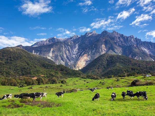 Kundasang Kundasang