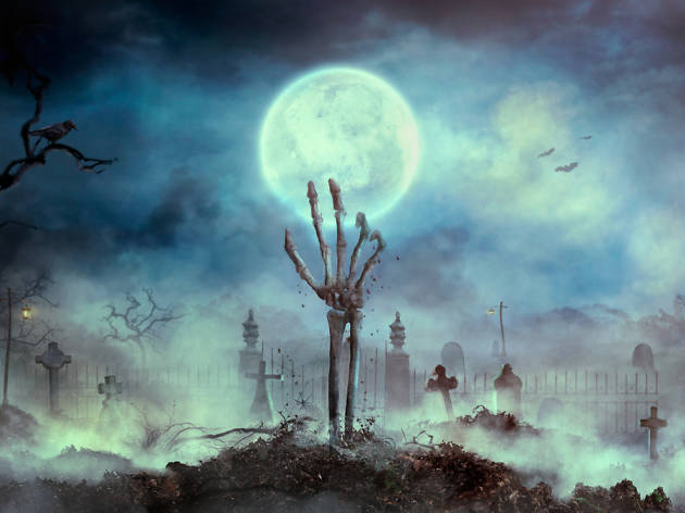 Halloween Halloween