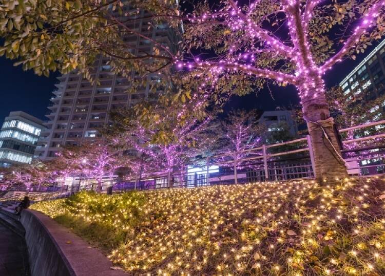 目黒川みんなのイルミネーション 目黒川みんなのイルミネーション