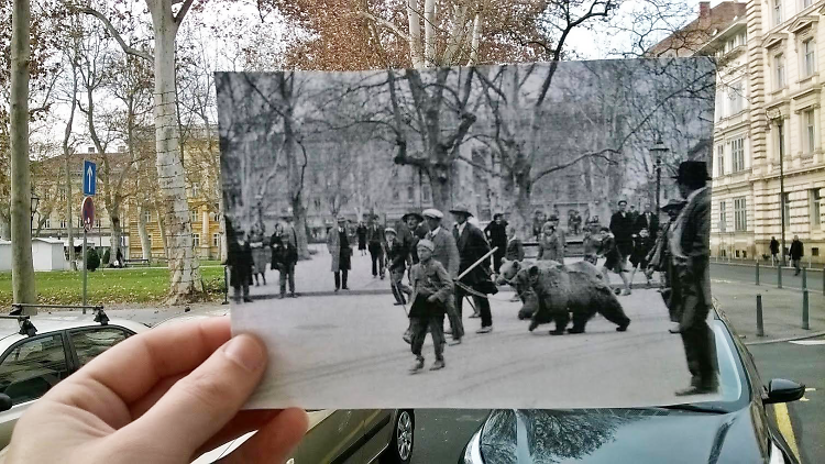 Bears at Zrinjevac park