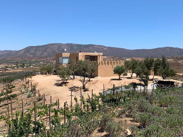 Once Pueblos cocina de Michoacán en Ensenada Once Pueblos cocina de Michoacán en Ensenada
