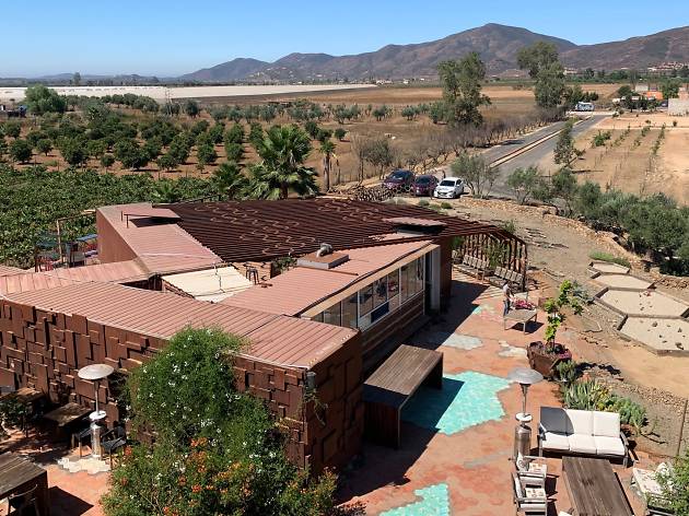 Qué hacer en Valle de Guadalupe: viñedos y gastronomía Qué hacer en Valle de Guadalupe: viñedos y gastronomía