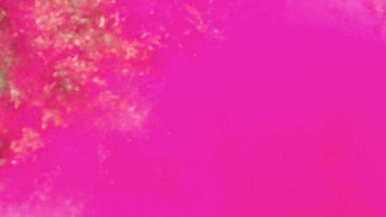 Miami Events Calendar 2024: The Best Things to Do in Miami This Year Miami Events Calendar 2024: The Best Things to Do in Miami This Year