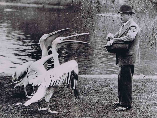 Play, Protest and Pelicans: A People's History of London's Royal Parks Play, Protest and Pelicans: A People's History of London's Royal Parks