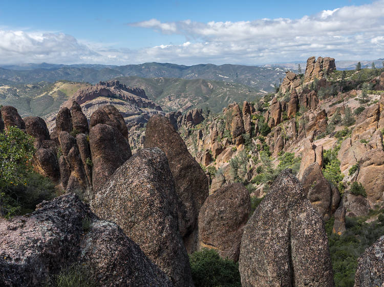 Pinnacles (California)