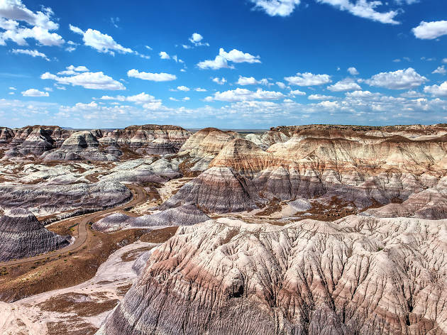 Petrified Forest National Park