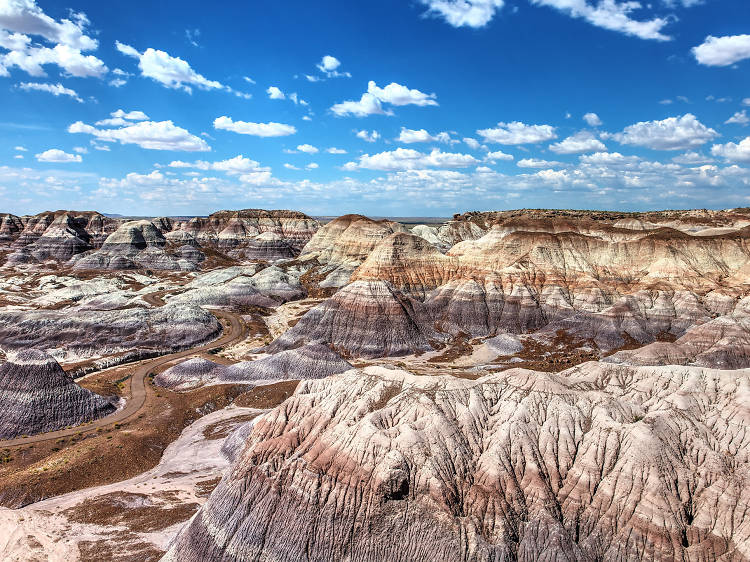Petrified Forest (Arizona)