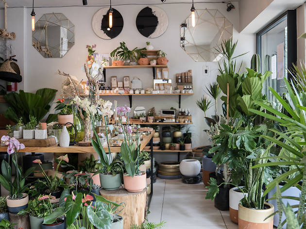 Querencia Plantas Querencia