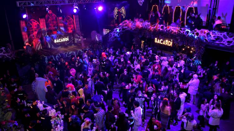 Foto: Cortesía Bacardí
