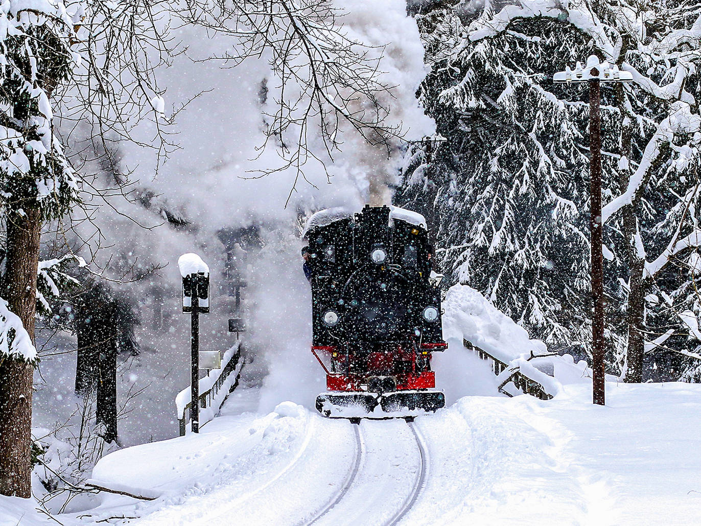 Best 7 Santa Train Rides near NYC To Visit this Season
