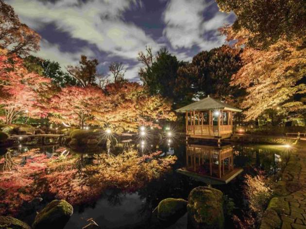 Otaguro Park Autumn Light Up Things To Do In Tokyo