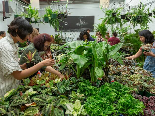 Sydney’s Biggest Plant Swap Sydney’s Biggest Plant Swap