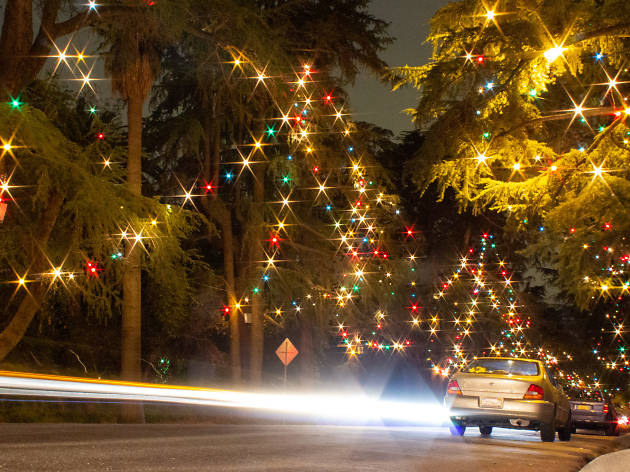 christmas lights near me drive through