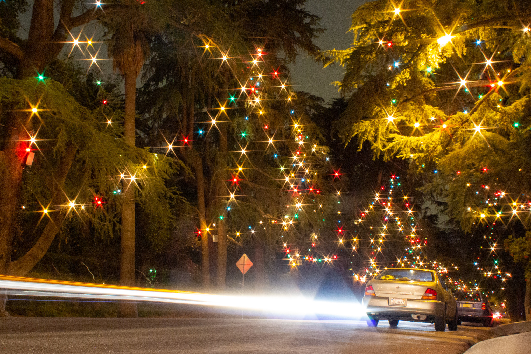 Holiday Light Installation in Westfield IN