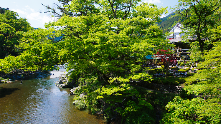 Visit the award-winning sake brewery Sawanoi