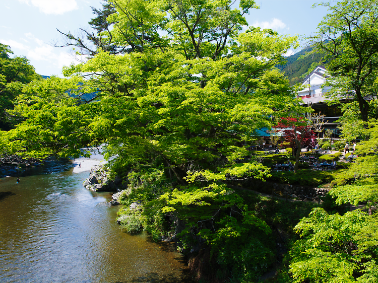 See how sake is made and finish with a tasting