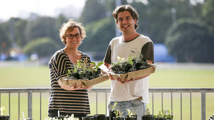 Two people holding plants ready to be potted.