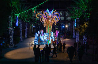 LA Zoo Lights | Things to do in Los Angeles