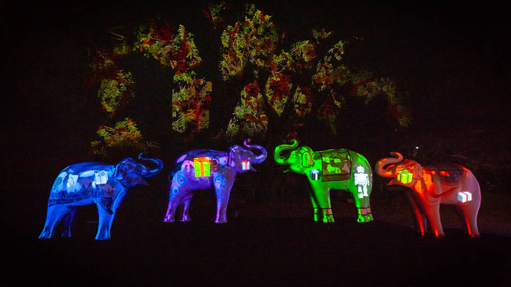 LA Zoo Lights | Things to do in Los Angeles