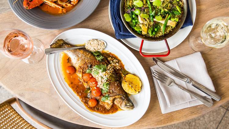 A table lay of grilled fish, lobster diavolo and salad