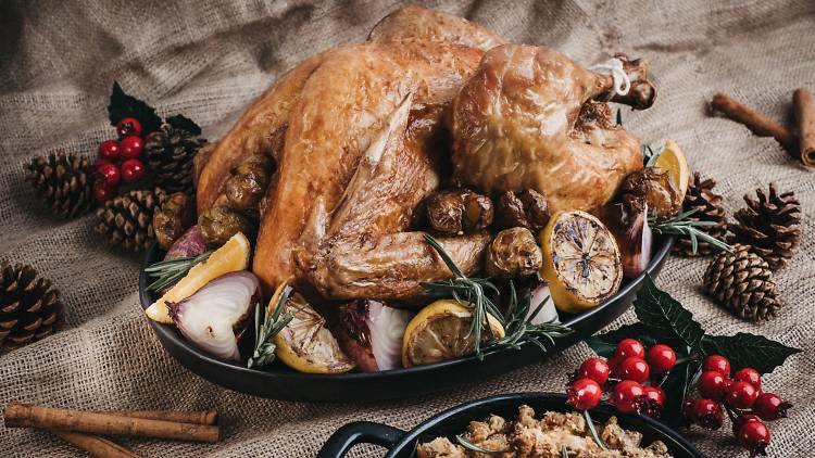 roast turkey