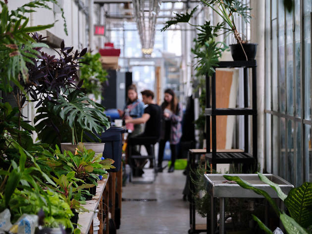 Concordia Greenhouse Concordia Greenhouse
