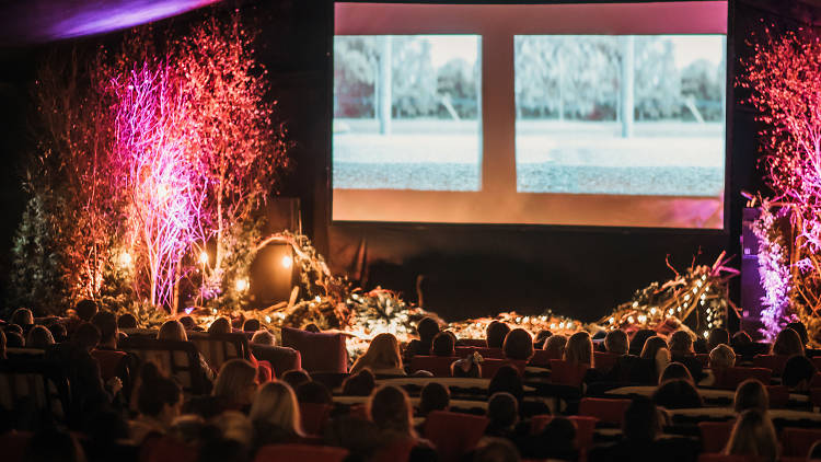 Backyard Cinema Winter Night Garden 2019