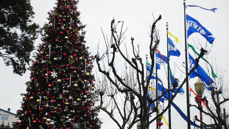 Pier 39 Christmas tree 