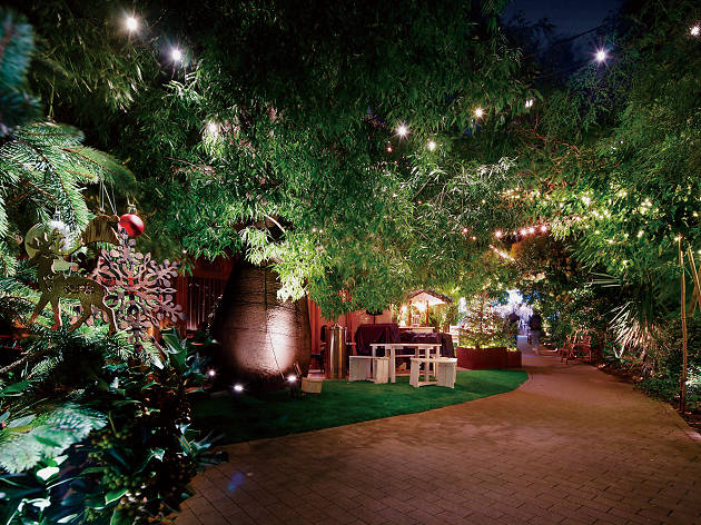 WINTER WONDER GARDEN WINTER WONDER GARDEN