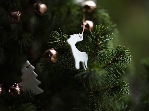 Natal Natal