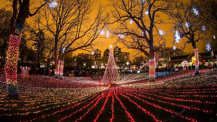 Light display at the zoo