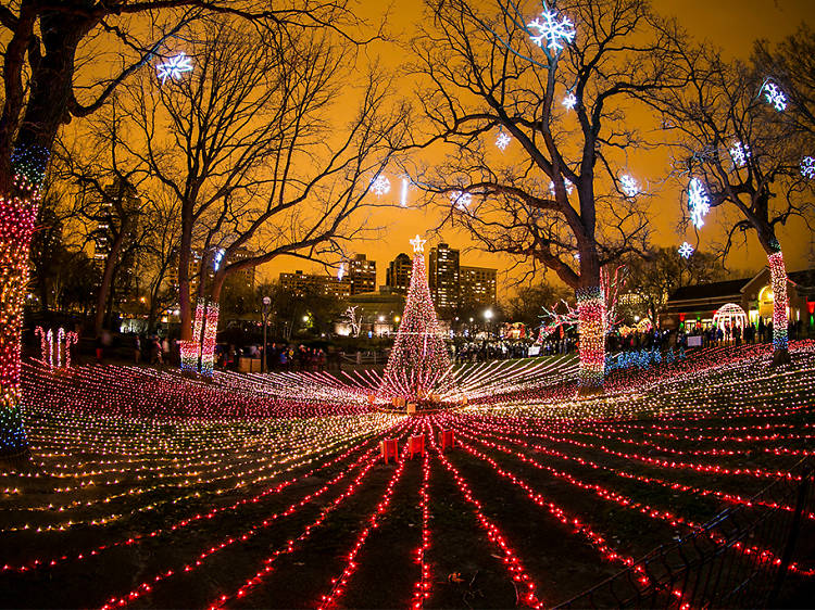 13 Best Places To See Holiday Lights in Chicago This Christmas 2023