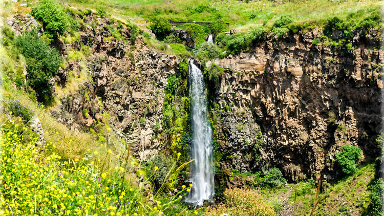 Gamla National Park