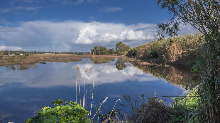 Park Herzliya