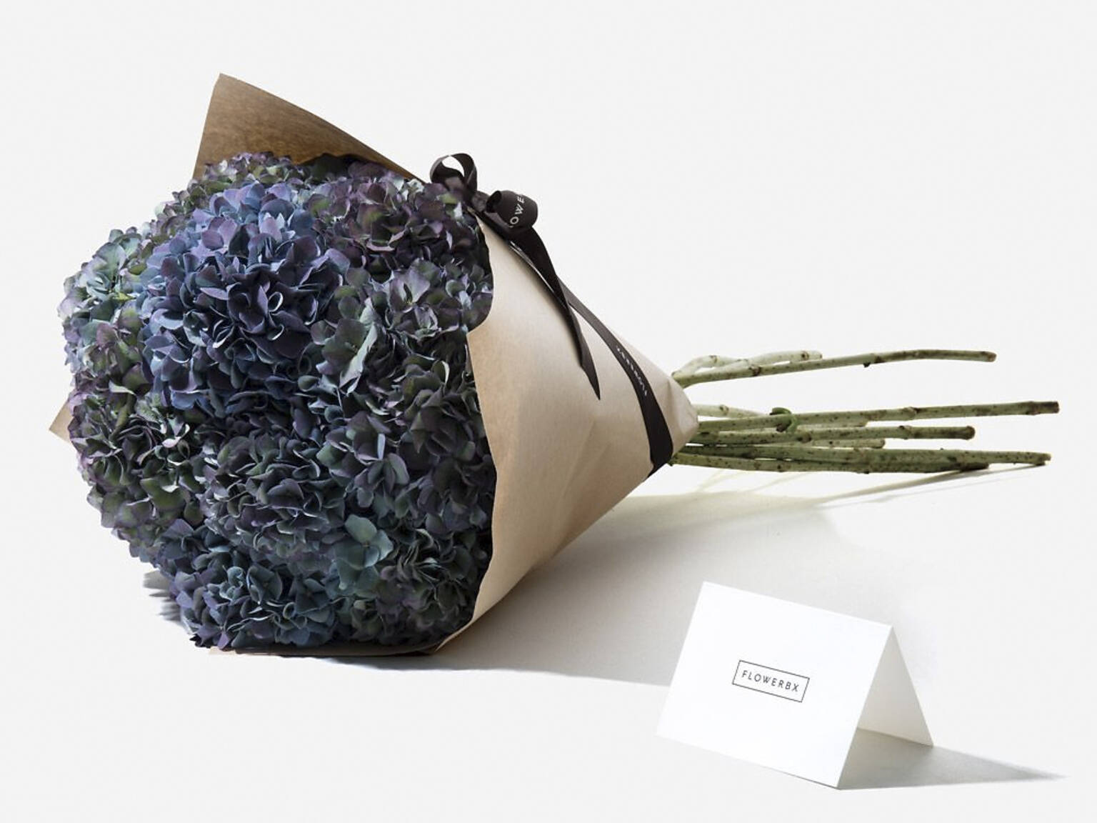 Flower Delivery in NYC 17 Best Online Flower Delivery Stores