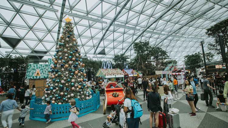 A Frozen Wonderland at Changi