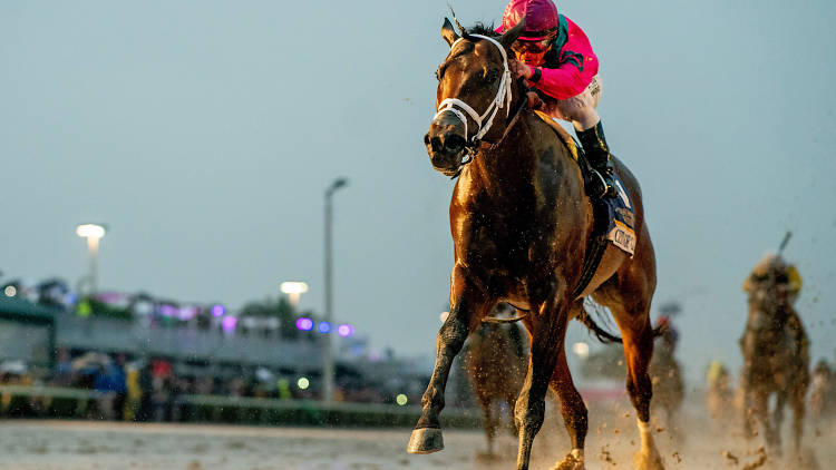 Watch the Pegasus World Cup at Gulfstream Park