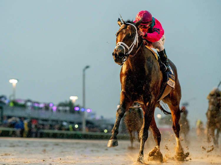 Watch the Pegasus World Cup at Gulfstream Park