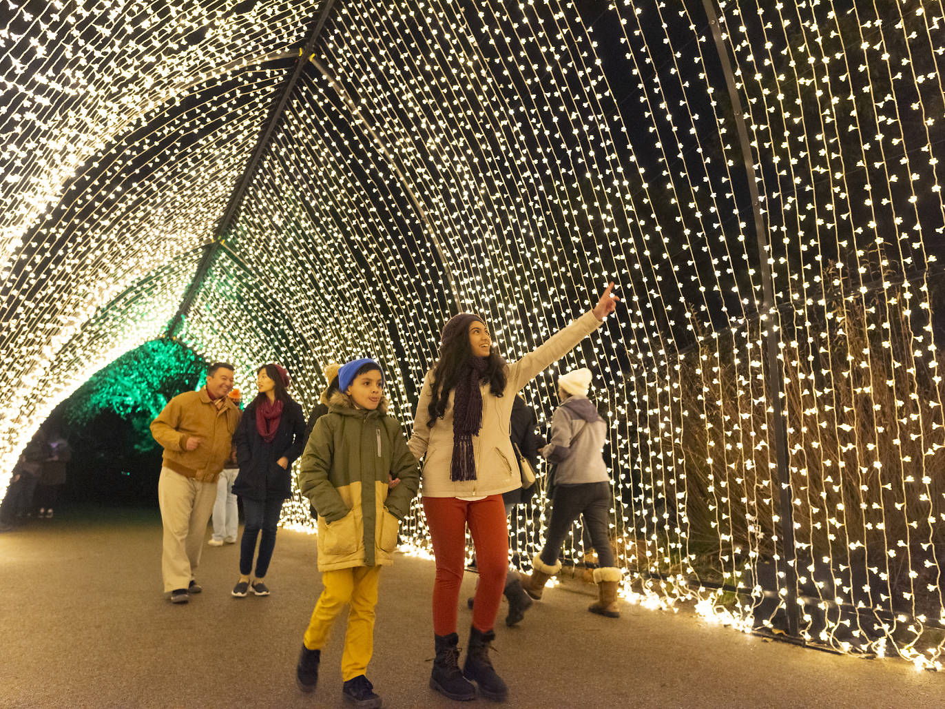 Thanksgiving 2024 Chicago: Parade, Best Things to Do & Events