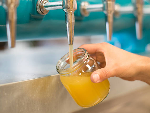 Todo sobre kombucha en la CDMX Todo sobre kombucha en la CDMX