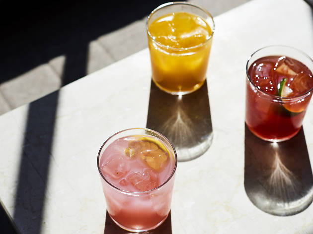 Todo sobre kombucha en la CDMX Todo sobre kombucha en la CDMX