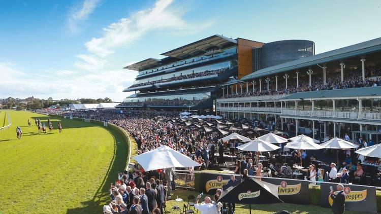 ATC Boxing Day Royal Randwick