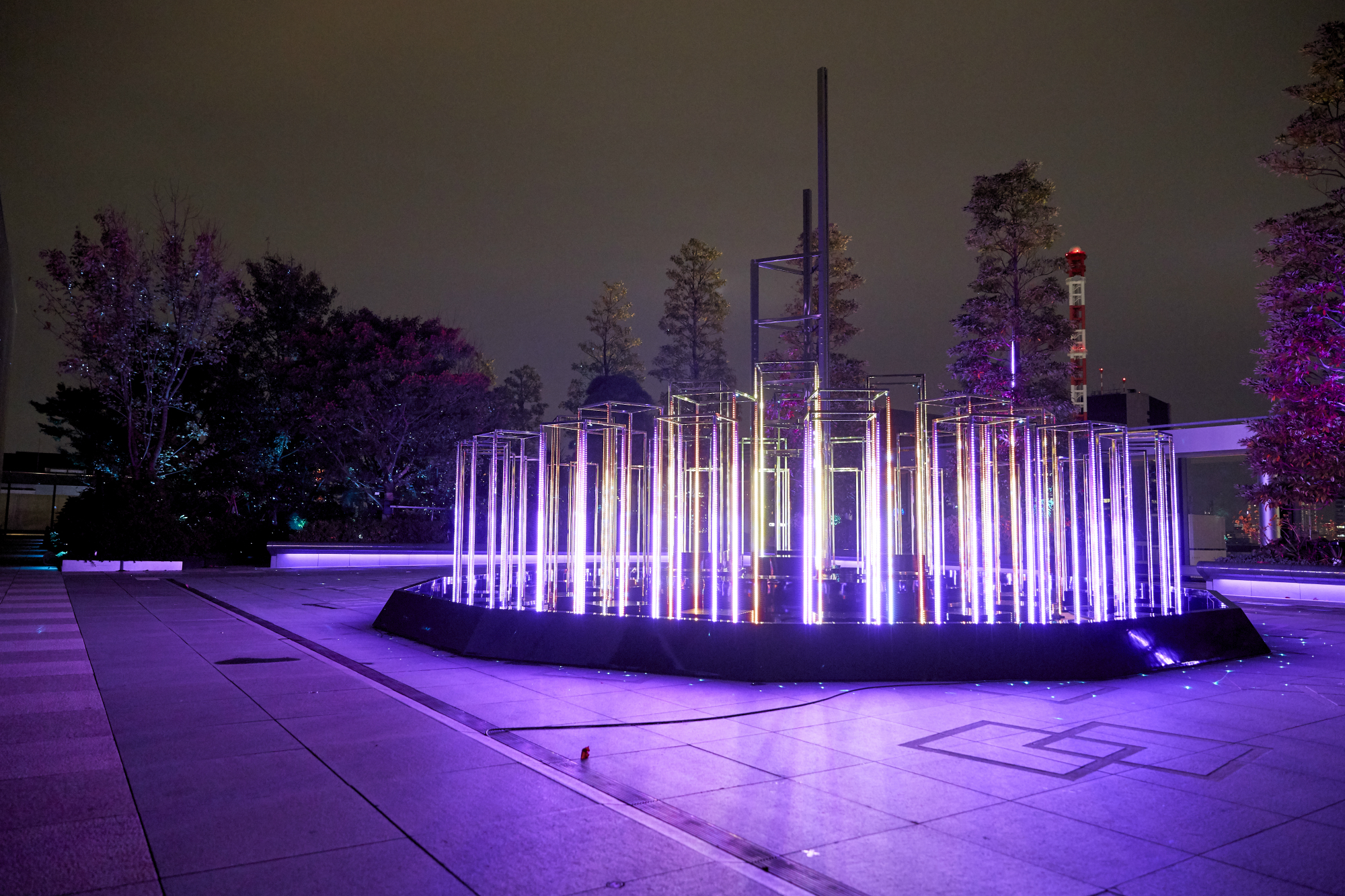 Rooftop Star Garden