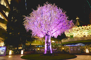 Tokyo Dome City Winter Illuminations Things To Do In Tokyo