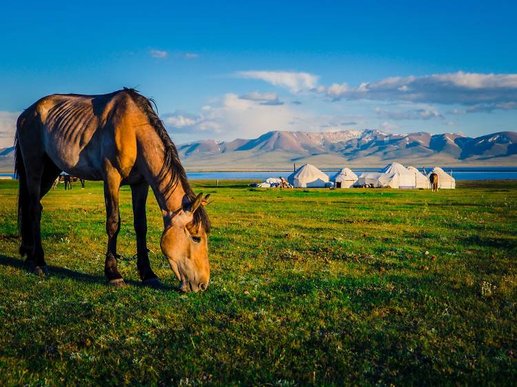 Kyrgyzstan