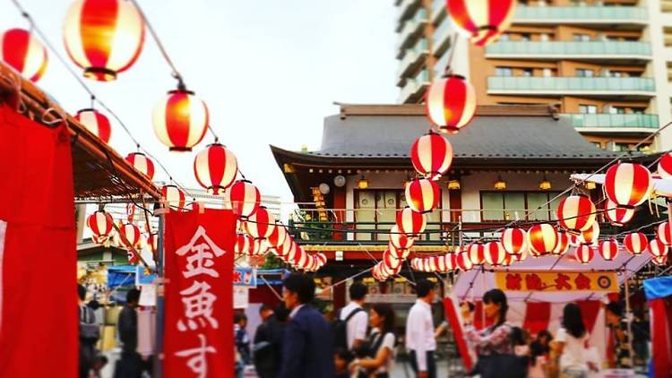 Edo Tokyo Night