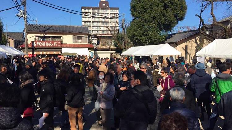 Kawagoe Coffee Festival